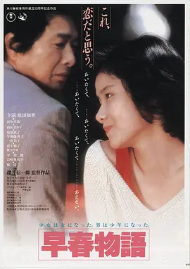 金鹰·起源
